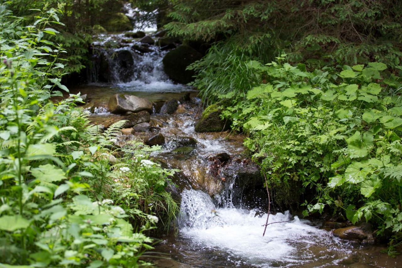 Lake Peak Apartments, Ribnisko Pohorje Ribnica na Pohorju Экстерьер фото