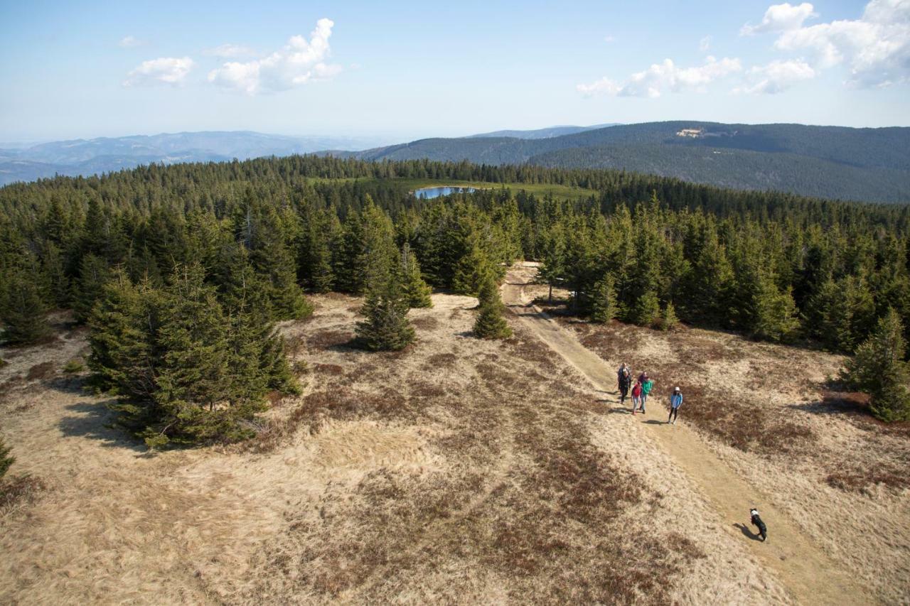 Lake Peak Apartments, Ribnisko Pohorje Ribnica na Pohorju Экстерьер фото