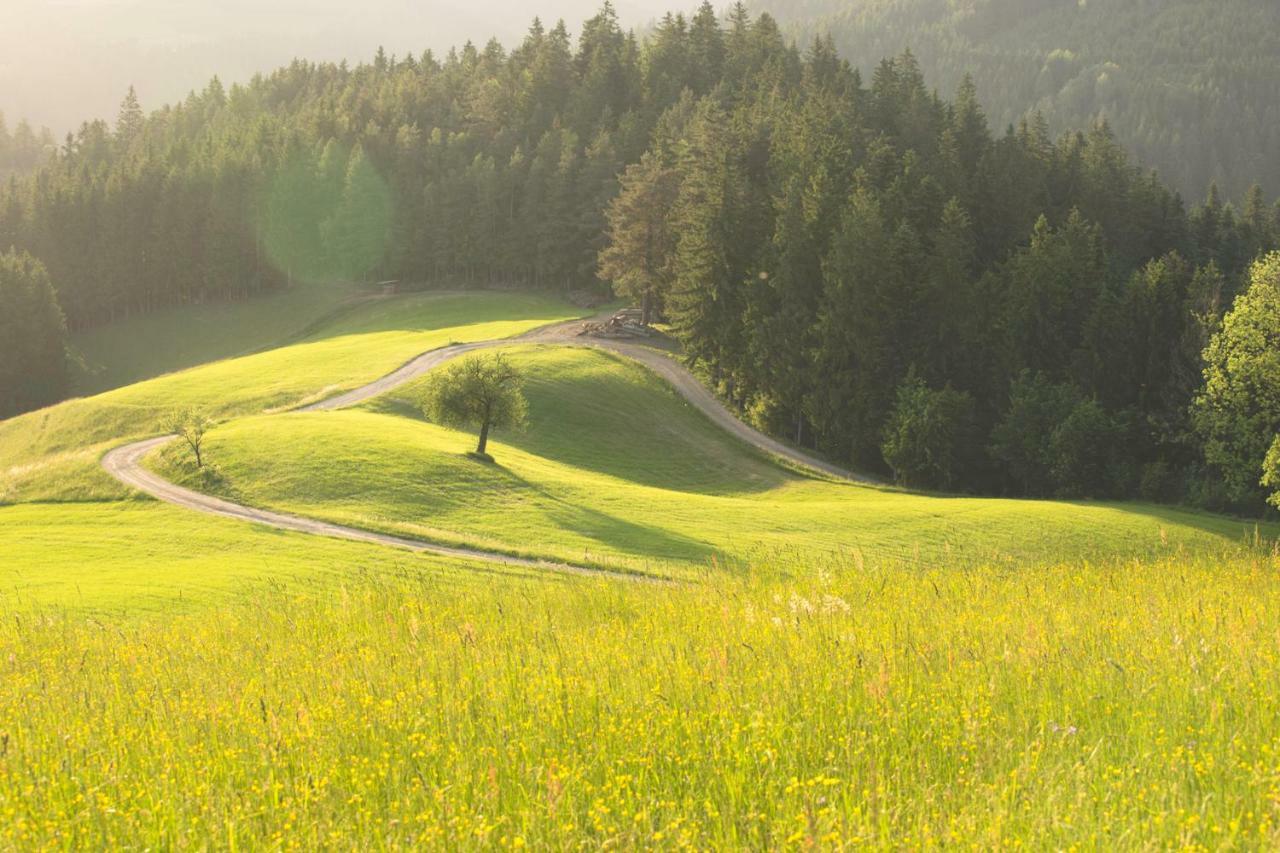 Lake Peak Apartments, Ribnisko Pohorje Ribnica na Pohorju Экстерьер фото